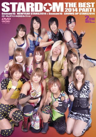 STARDOM 女子プロレス DVD 6本セット-